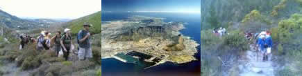 Sunday Nature Walks around Table Mountain Cape Town South Africa